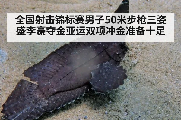 全国射击锦标赛男子50米步枪三姿盛李豪夺金亚运双项冲金准备十足