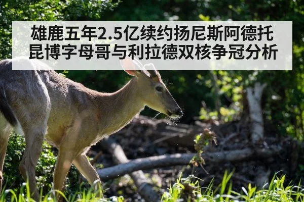雄鹿五年2.5亿续约扬尼斯阿德托昆博字母哥与利拉德双核争冠分析