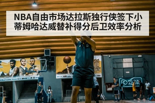NBA自由市场达拉斯独行侠签下小蒂姆哈达威替补得分后卫效率分析