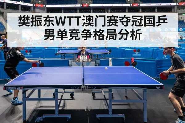 樊振东WTT澳门赛夺冠国乒男单竞争格局分析