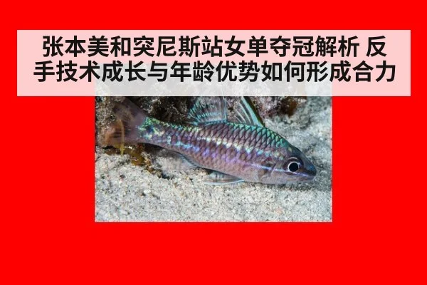 张本美和突尼斯站女单夺冠解析 反手技术成长与年龄优势如何形成合力